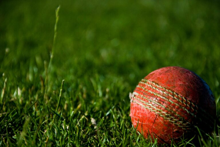 The influence of IPL on cricket coaching methodologies at the grassroots level