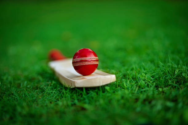 Exploring the Impact of Technology on Cricket Betting Trends