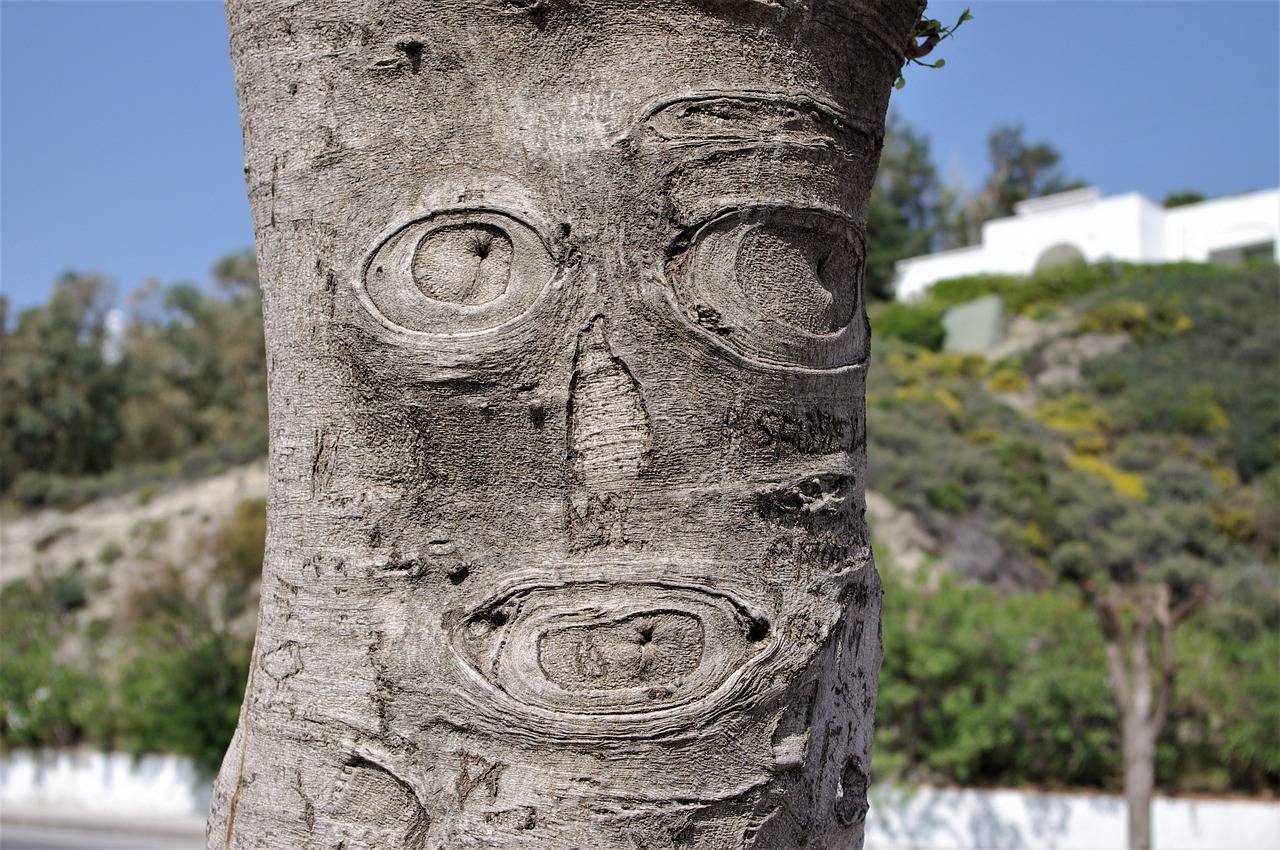 Silverexch: Revolutionizing Digital Asset Trading with Secure Platforms and Innovative ID Solutions